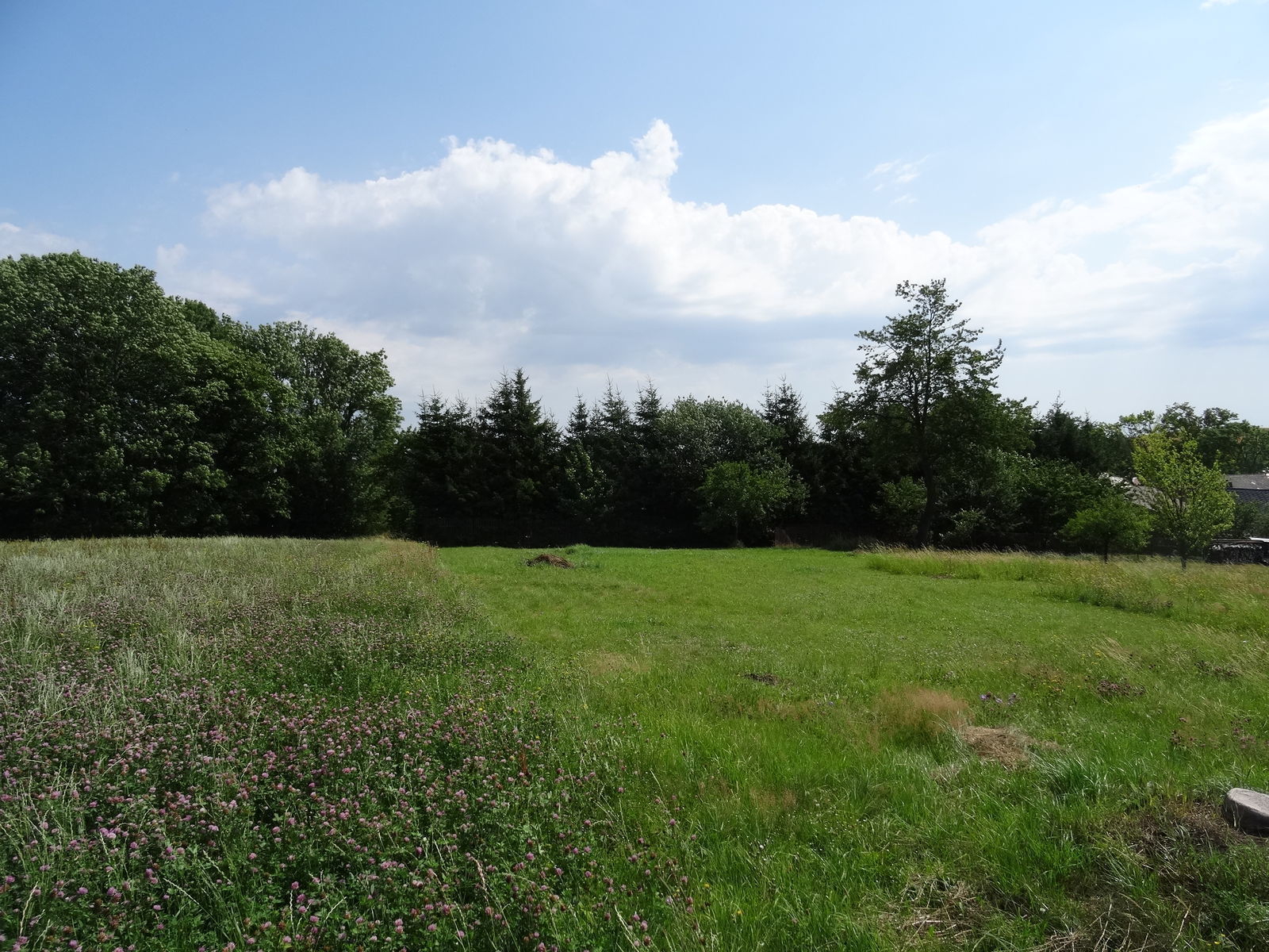 Jihlava - prodej stavebního pozemku na bydlení o vým. 3573m2 - Obrázek 5