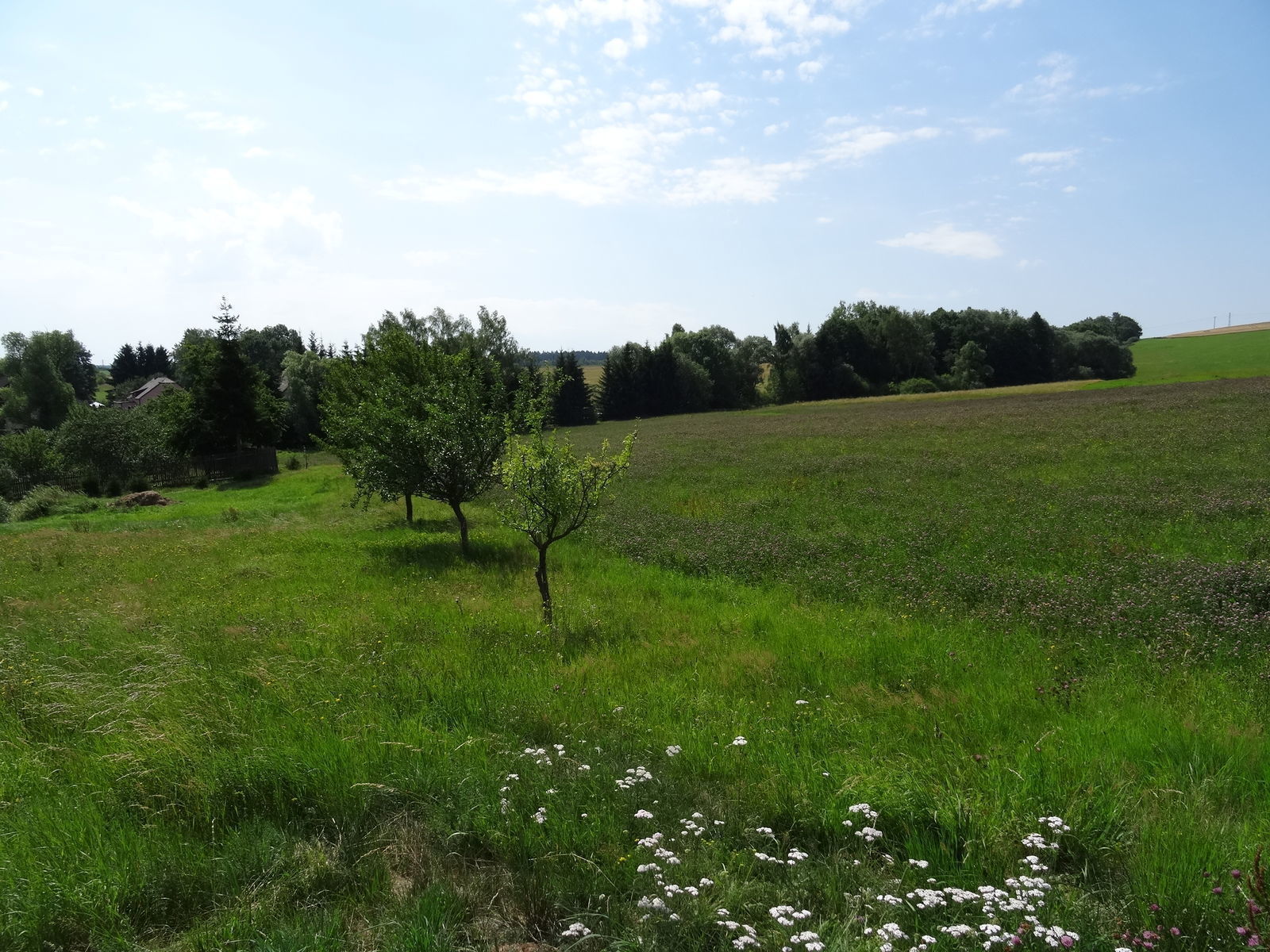 Jihlava - prodej stavebního pozemku na bydlení o vým. 3573m2 - Obrázek 7