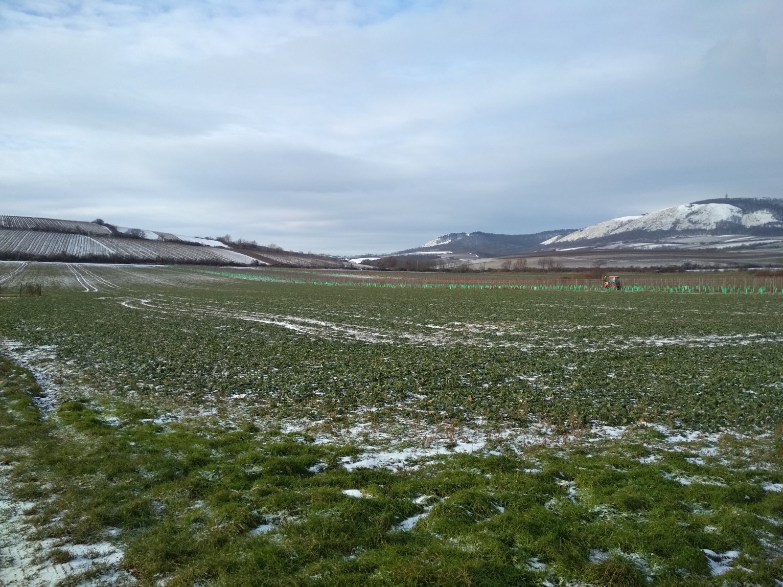 Prodej 1/4 pozemku s krásným výhledem v Milovicích - Obrázek 4