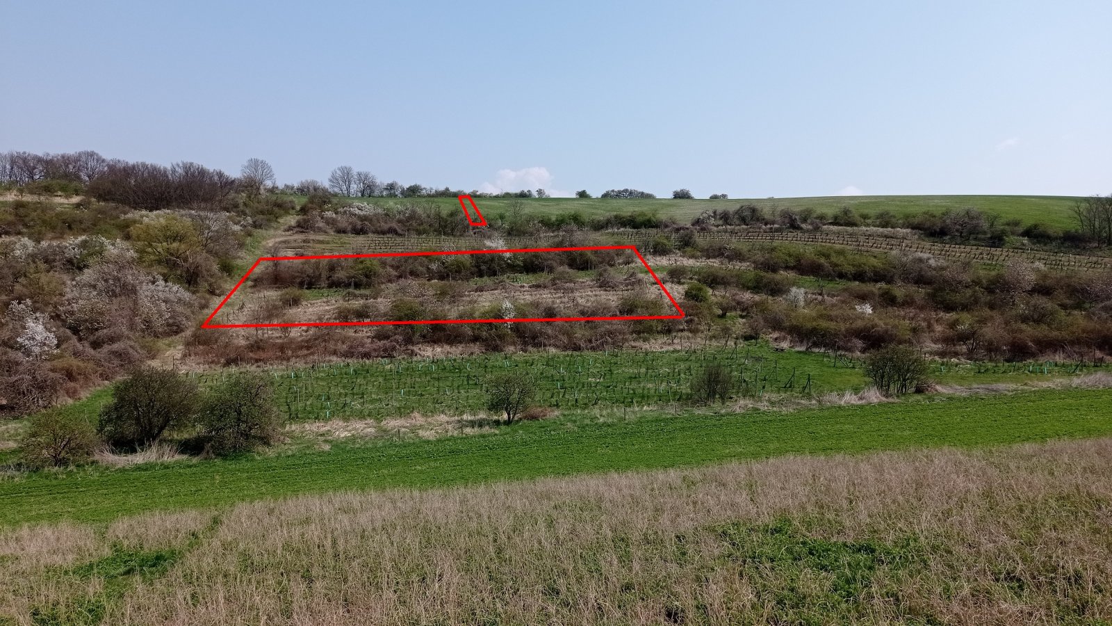 Prodej vinic v atraktivních lokalitách v obci Velké Němčice - Obrázek 3