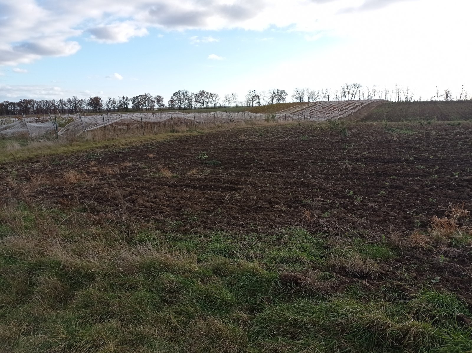 Prodej orné půdy ve viniční trati "Nad Nesytem" v Sedleci - Obrázek 4