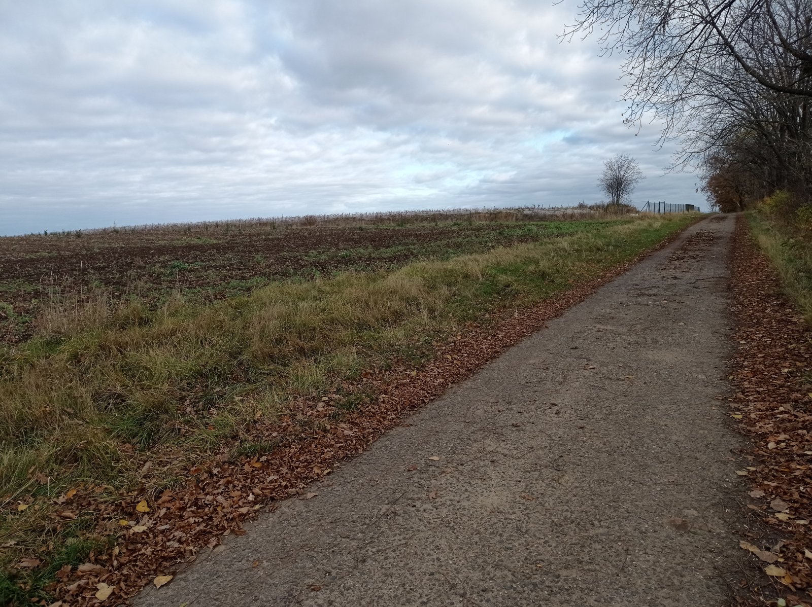 Prodej orné půdy ve viniční trati "Nad Nesytem" v Sedleci - Obrázek 3