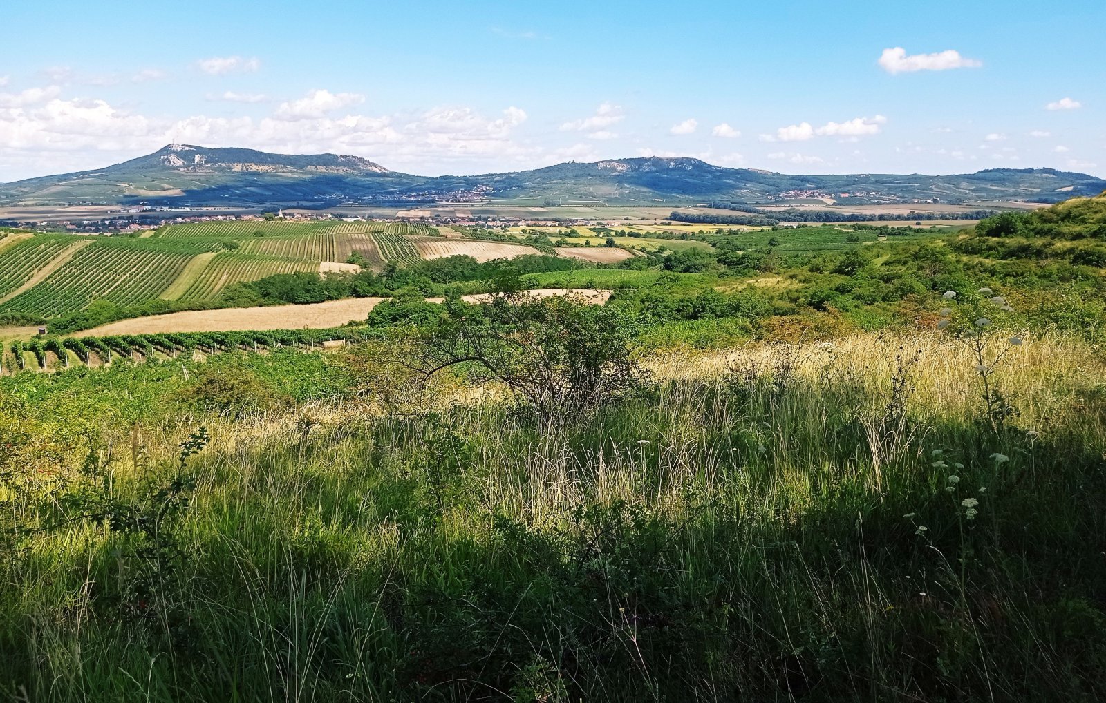 Soubor vinic v atraktivních lokalitách, kde vznikají nejlepší vína na Jižní Moravě. - Obrázek 14