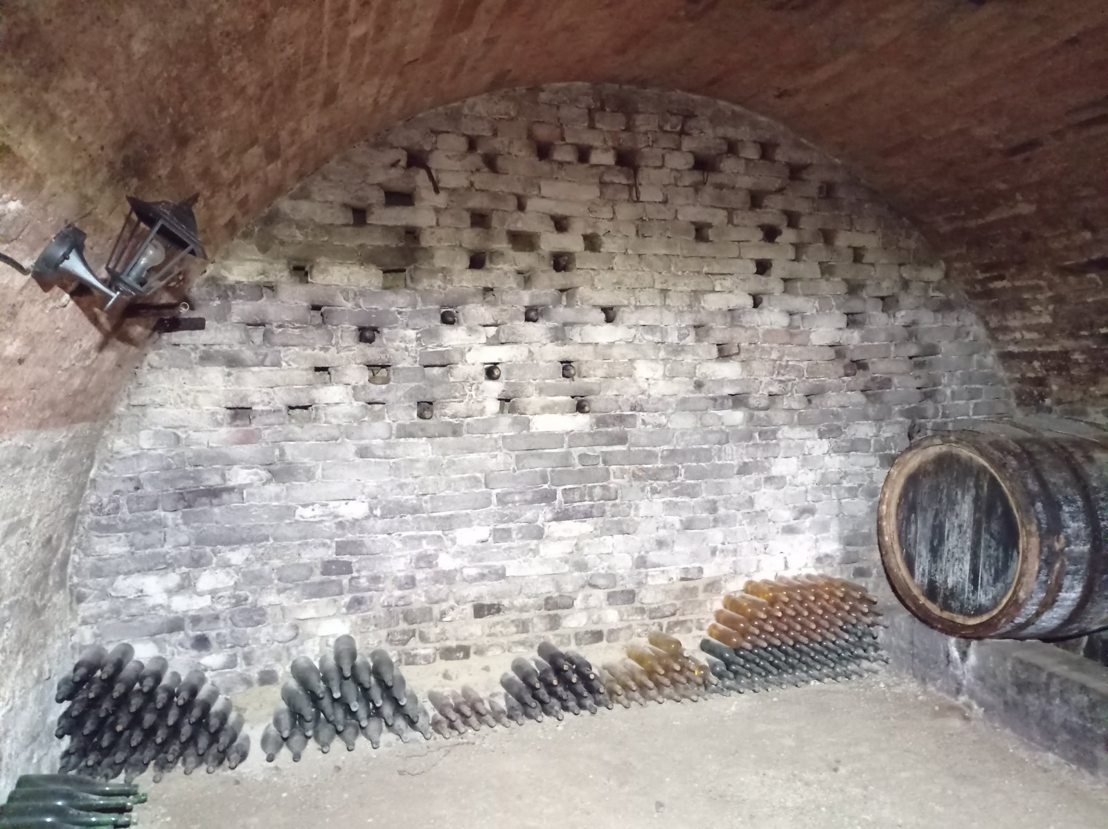 Tradiční vinný sklep s nástavbou v obci Brod nad Dyjí - Obrázek 8