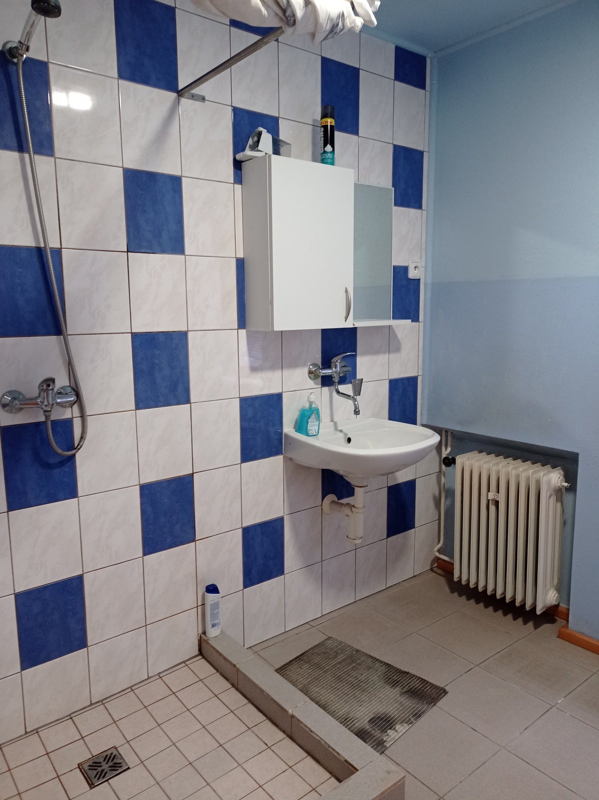 Výrobní areál s velkým potenciálem i možnostmi využití v Mikulově. - Obrázek 17