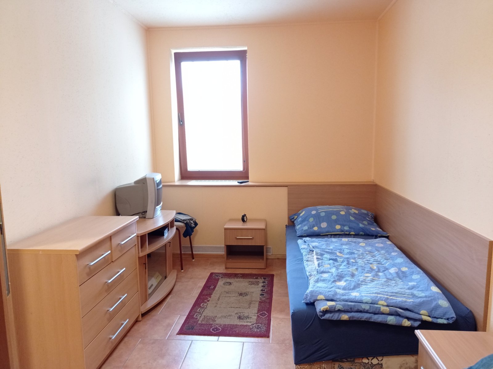 Výrobní areál s velkým potenciálem i možnostmi využití v Mikulově. - Obrázek 18