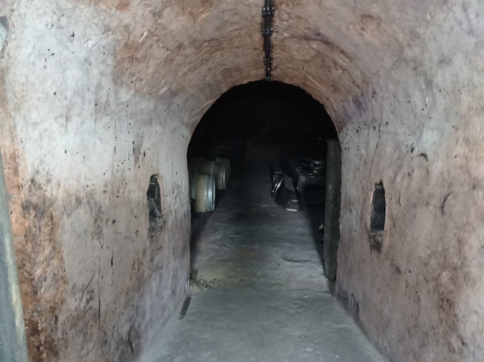 Vinný sklep s lisovnou v Brodě nad Dyjí - Obrázek 6