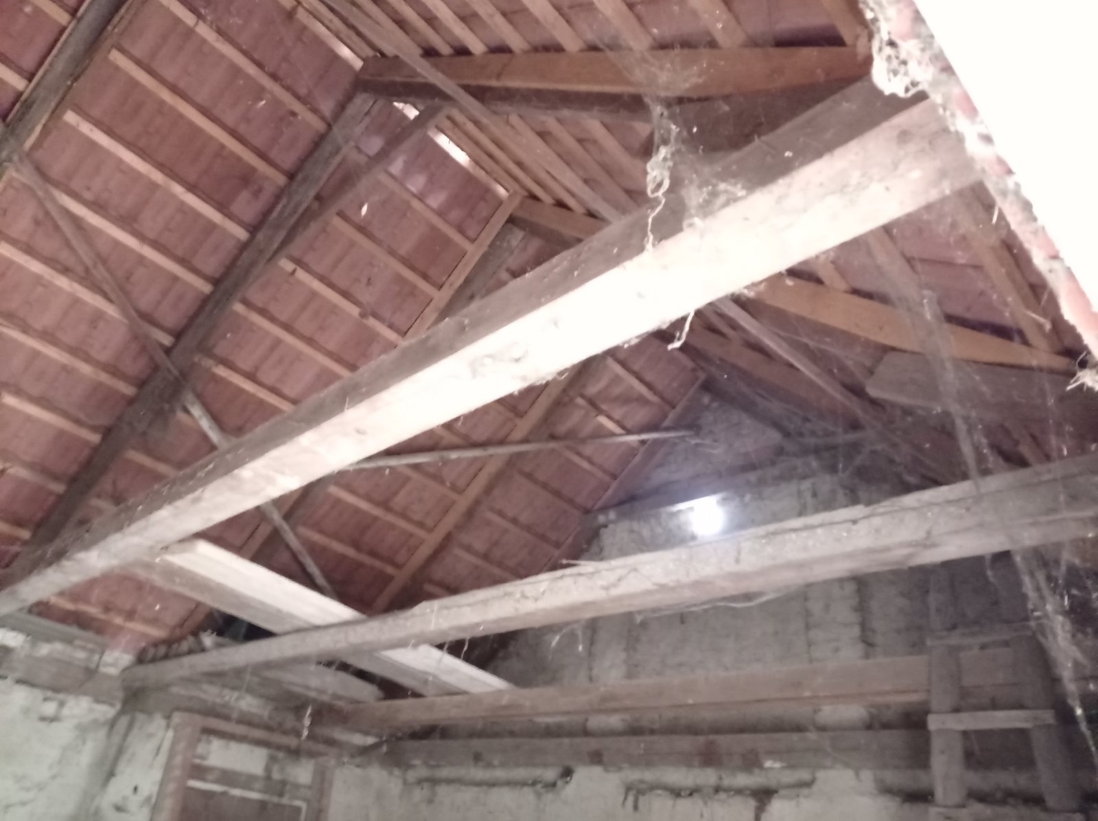 Tradiční vinný sklep s nástavbou v obci Brod nad Dyjí - Obrázek 9