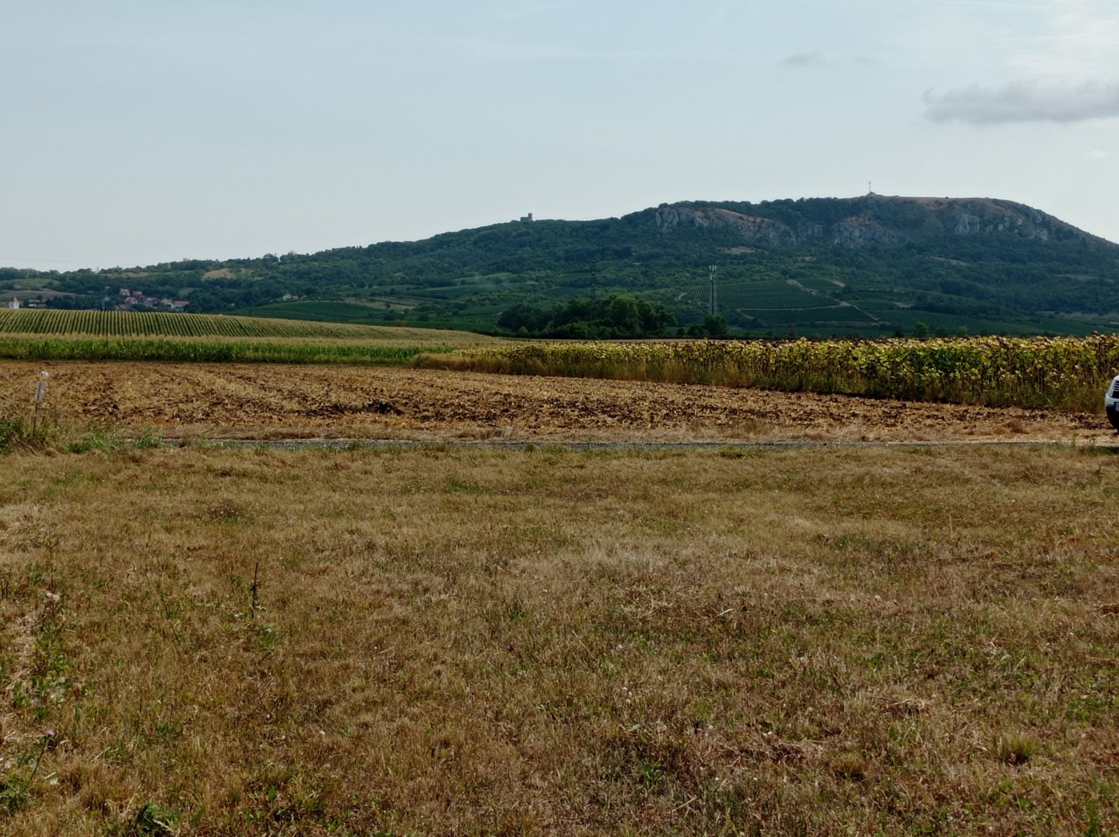 Stavební pozemek v Dolních Dunajovicích s úžasným výhledem na Pálavu. - Obrázek 6