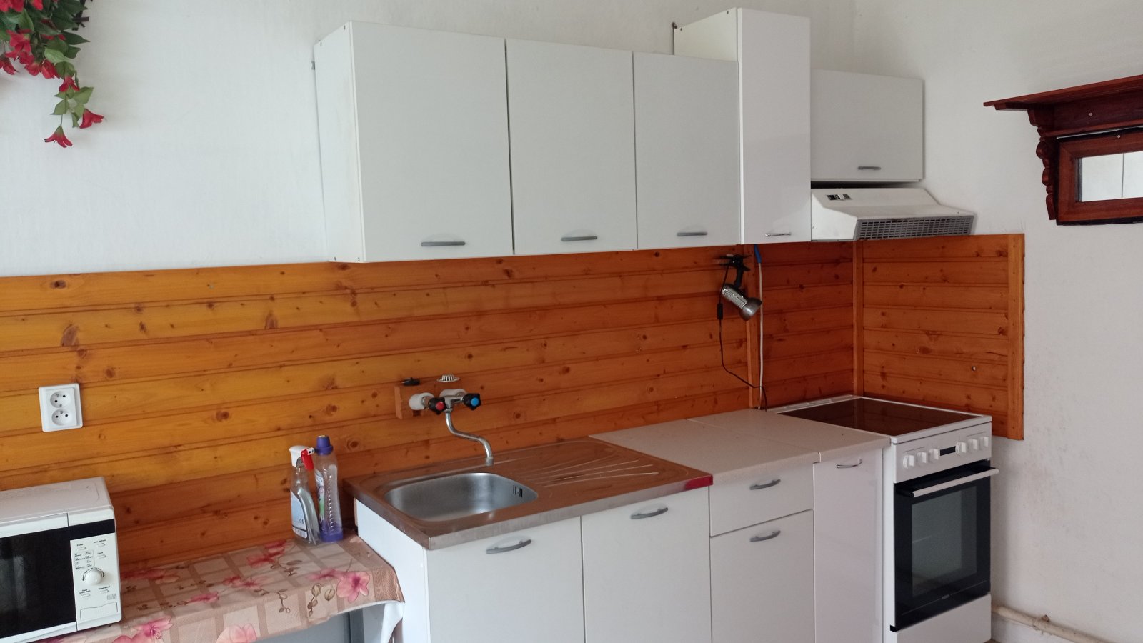 Samostatně stojící rodinný dům 3+1 v obci Novosedly - Obrázek 7