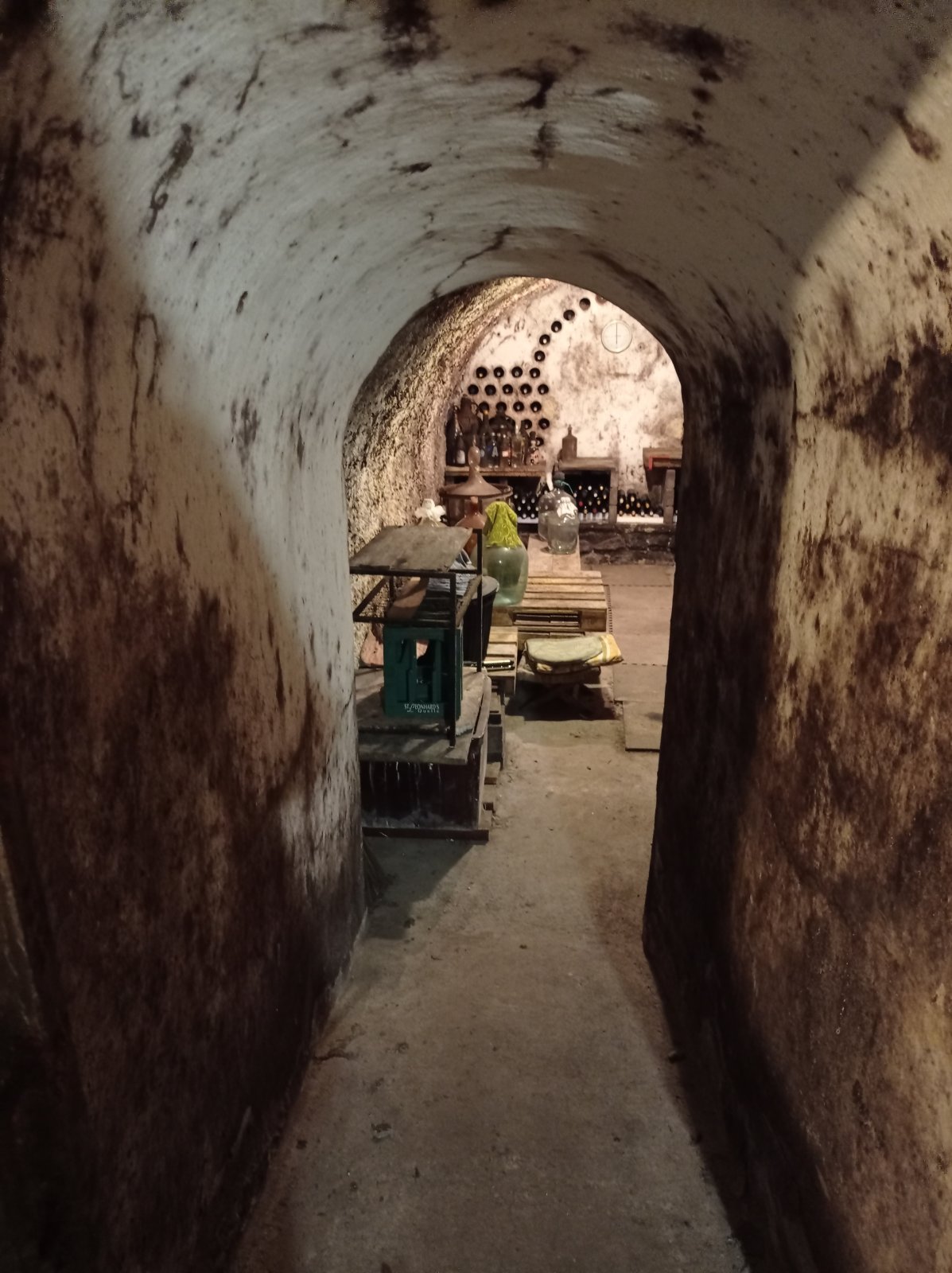 Jedinečná příležitost koupě vinného sklepa s vinicí na úpatí Svatého kopečku v Mikulově - Obrázek 10