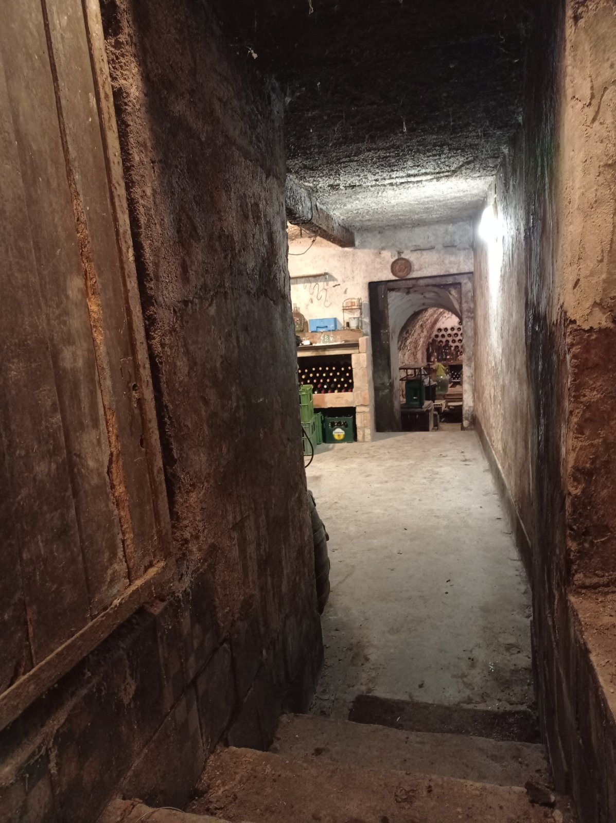 Jedinečná příležitost koupě vinného sklepa s vinicí na úpatí Svatého kopečku v Mikulově - Obrázek 7