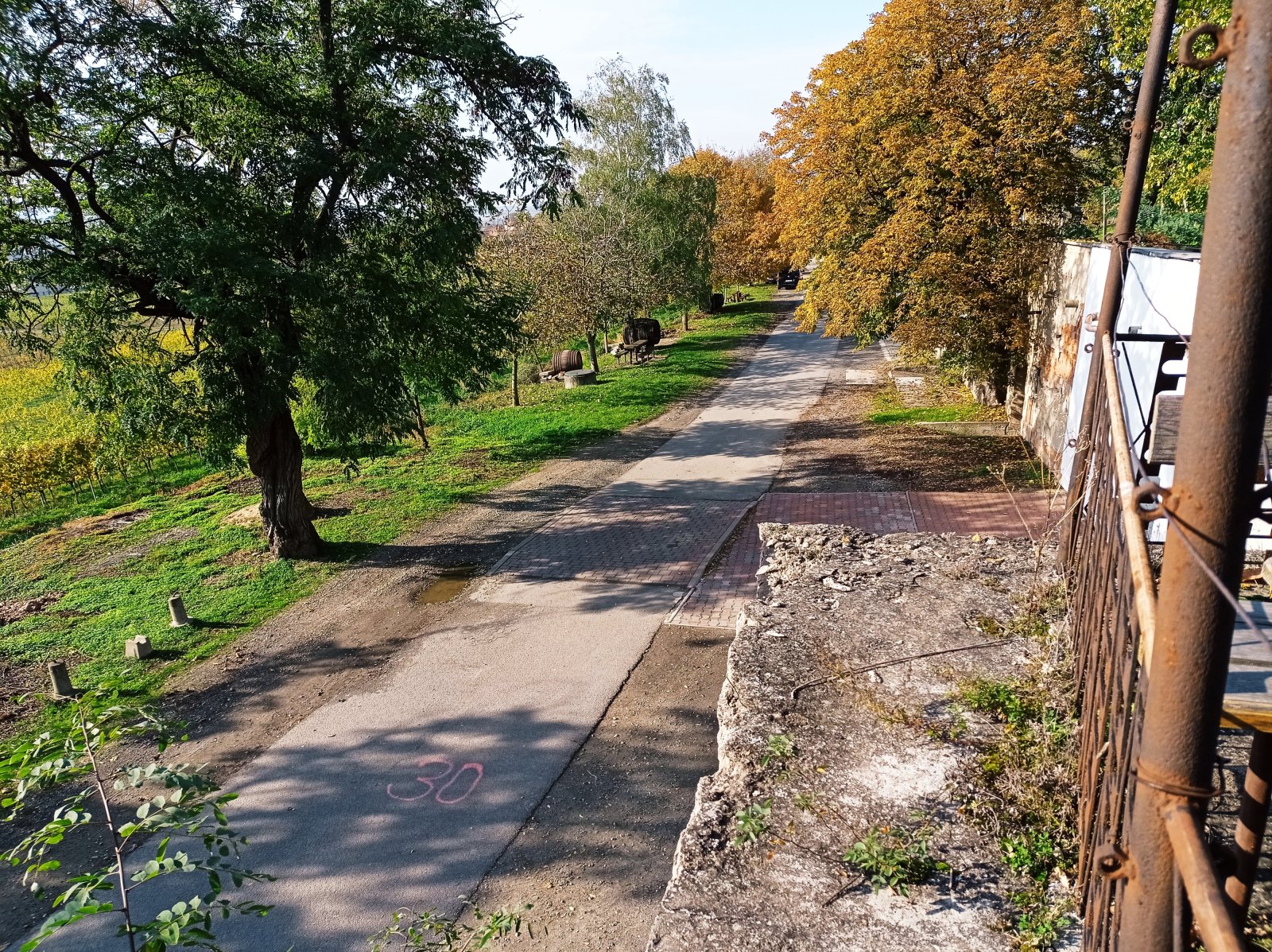Jedinečná příležitost koupě vinného sklepa s vinicí na úpatí Svatého kopečku v Mikulově - Obrázek 15