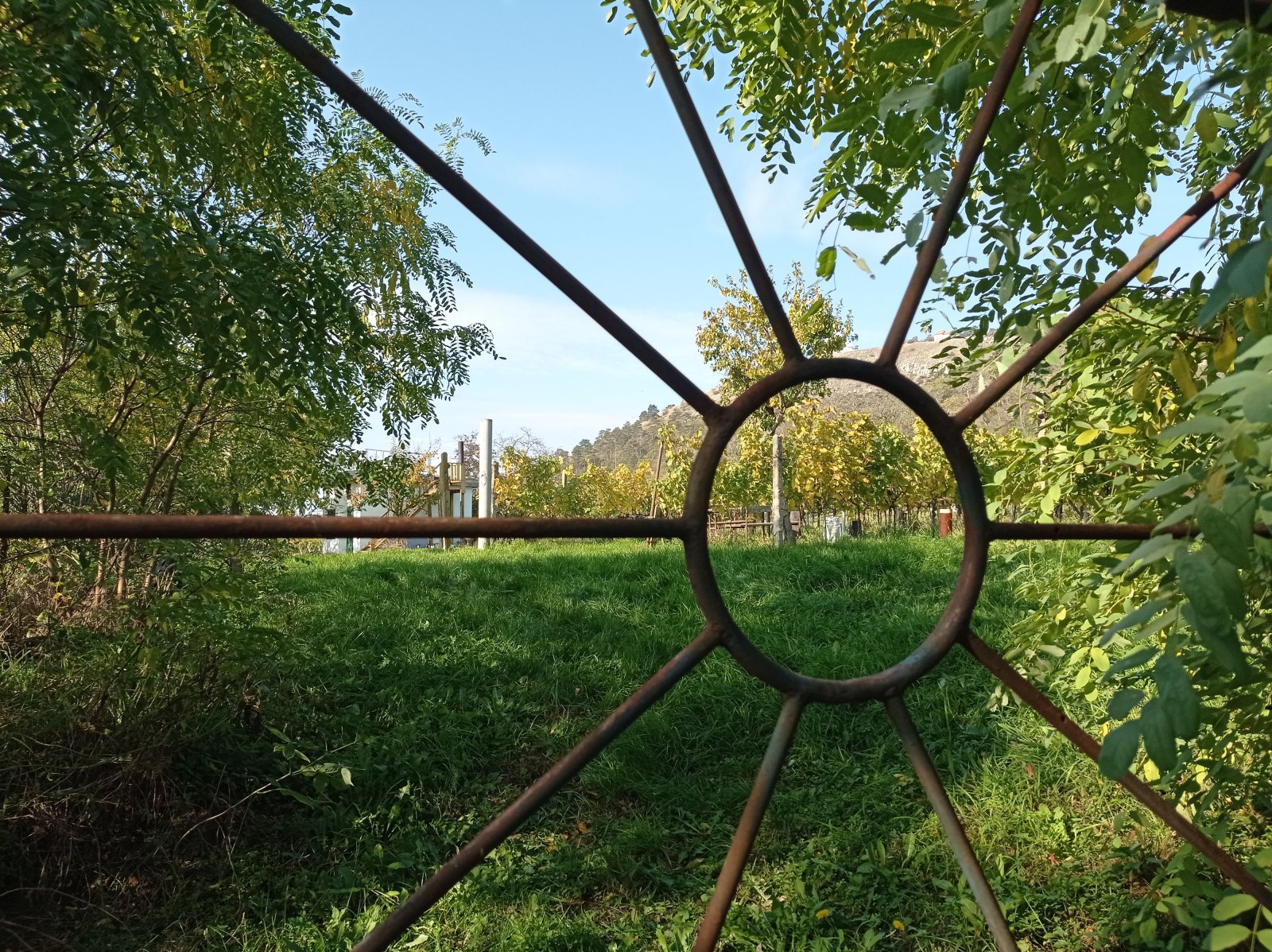 Jedinečná příležitost koupě vinného sklepa s vinicí na úpatí Svatého kopečku v Mikulově - Obrázek 23