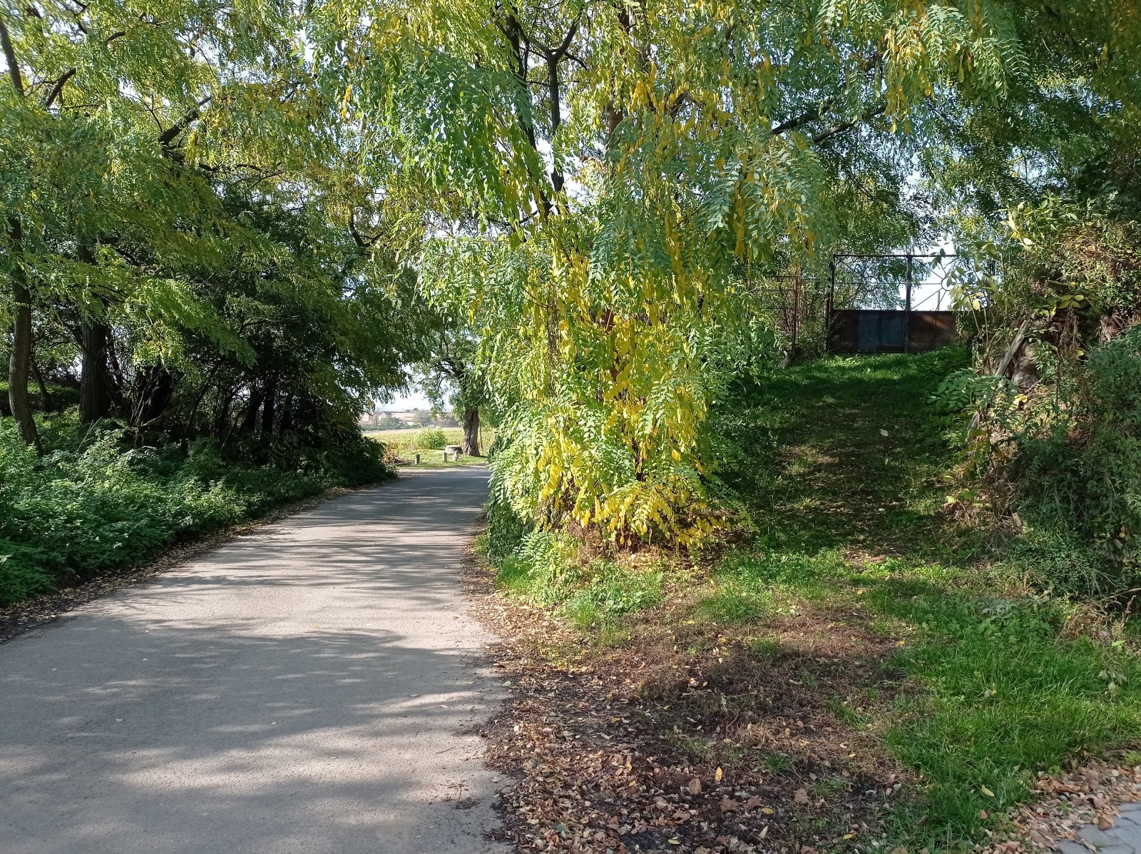 Jedinečná příležitost koupě vinného sklepa s vinicí na úpatí Svatého kopečku v Mikulově - Obrázek 24