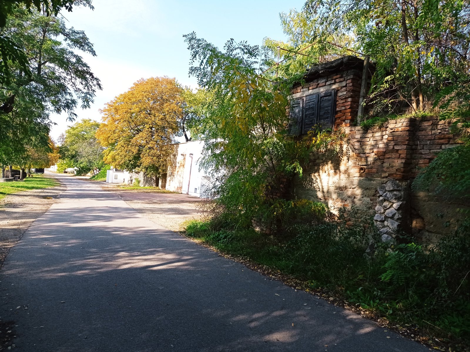 Jedinečná příležitost koupě vinného sklepa s vinicí na úpatí Svatého kopečku v Mikulově - Obrázek 25