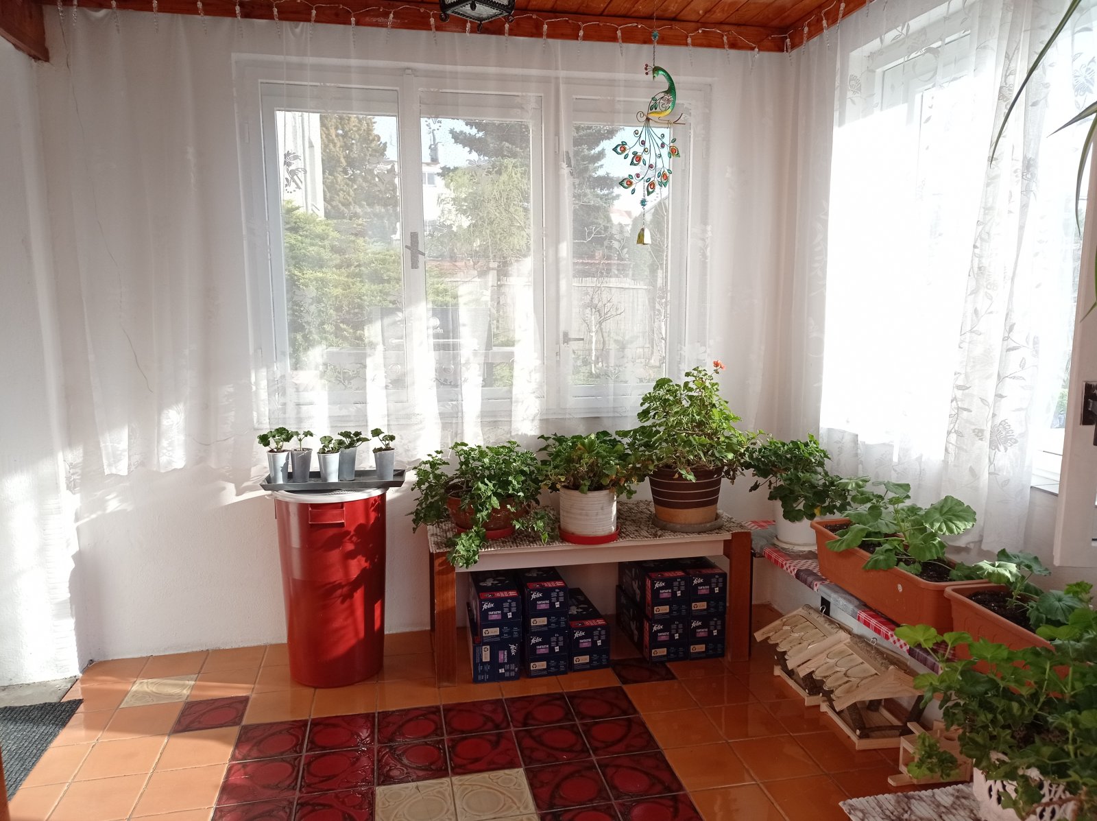 Prostorná vila se dvěma byty, garáží a krásnou zahradou v Mikulově. - Obrázek 16