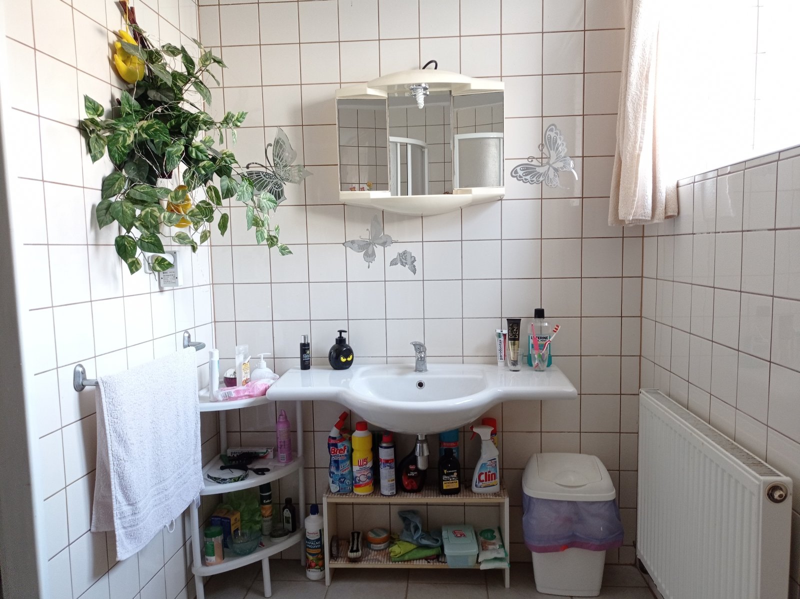 Prostorná vila se dvěma byty, garáží a krásnou zahradou v Mikulově. - Obrázek 24