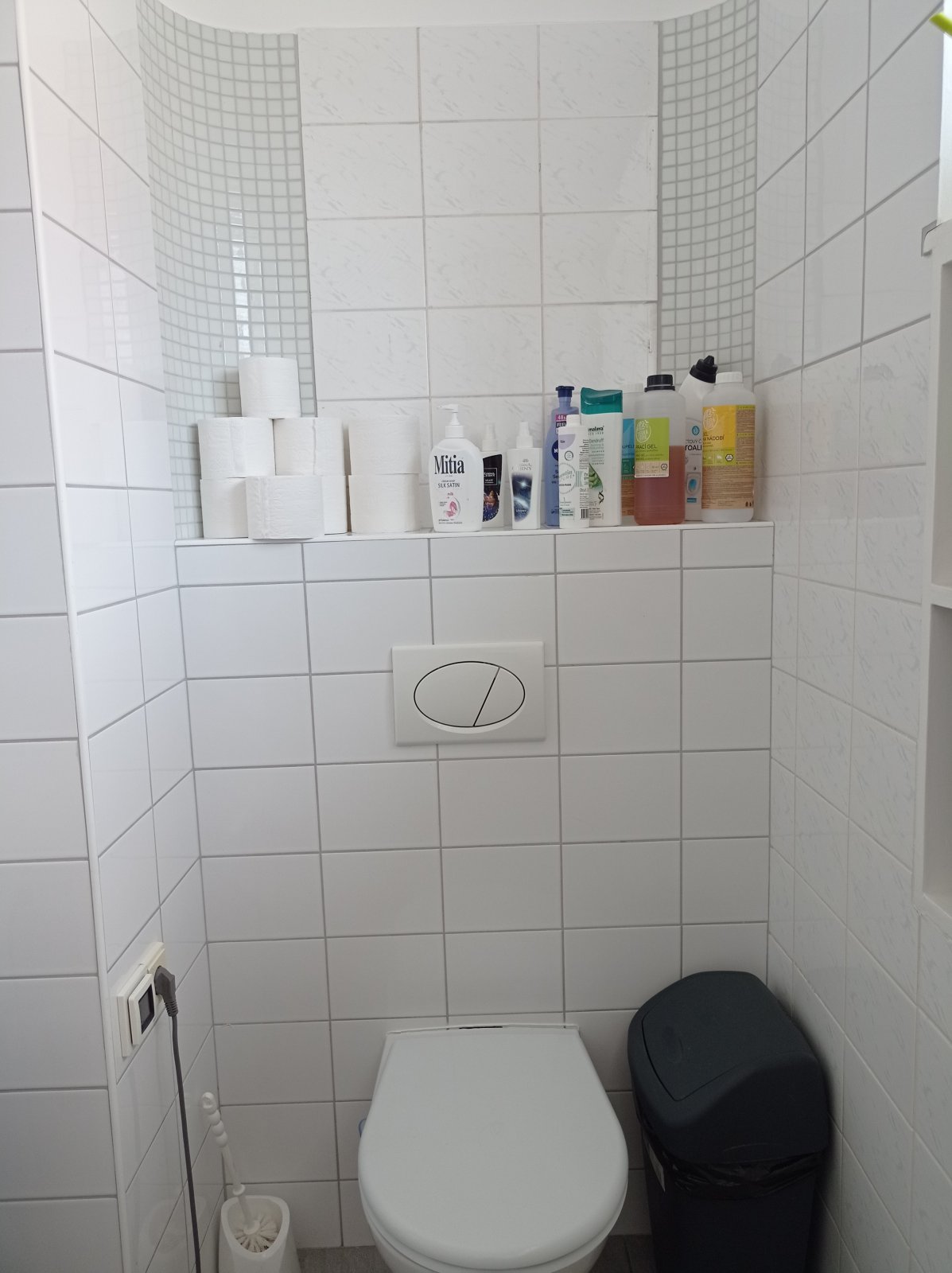 Prostorná vila se dvěma byty, garáží a krásnou zahradou v Mikulově. - Obrázek 14