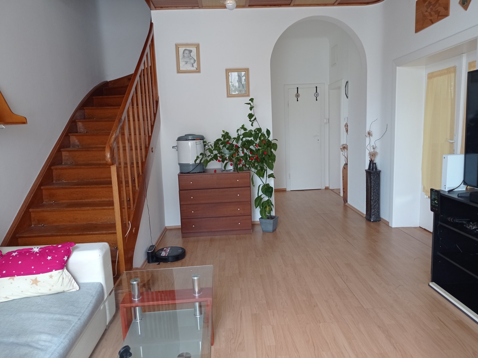 Prostorná vila se dvěma byty, garáží a krásnou zahradou v Mikulově. - Obrázek 6