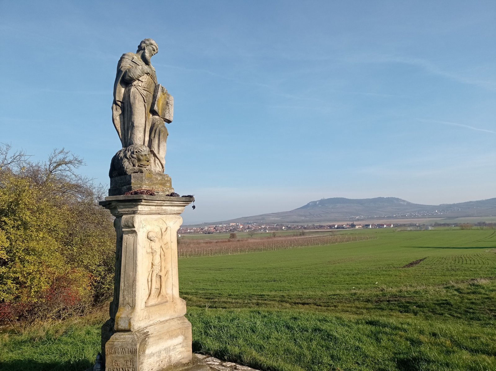 Registrovaná vinice o výměře 6073 m2 v Dolních Dunajovicích - Obrázek 3
