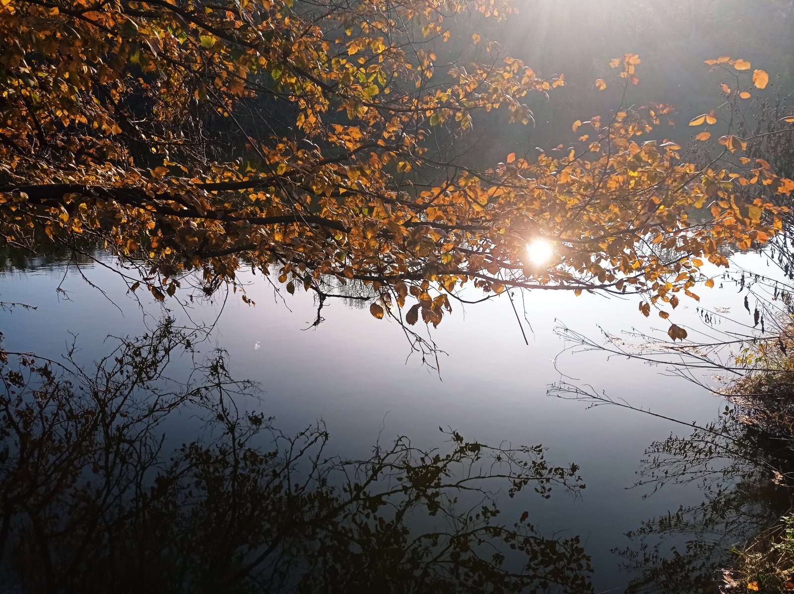 Pozemek o výměře 5838 m2 v obci Bulhary - Obrázek 3