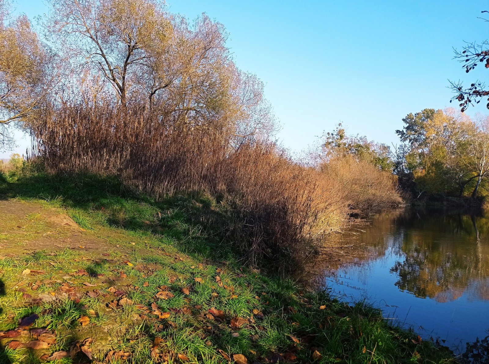 Pozemek o výměře 5838 m2 v obci Bulhary - Obrázek 4