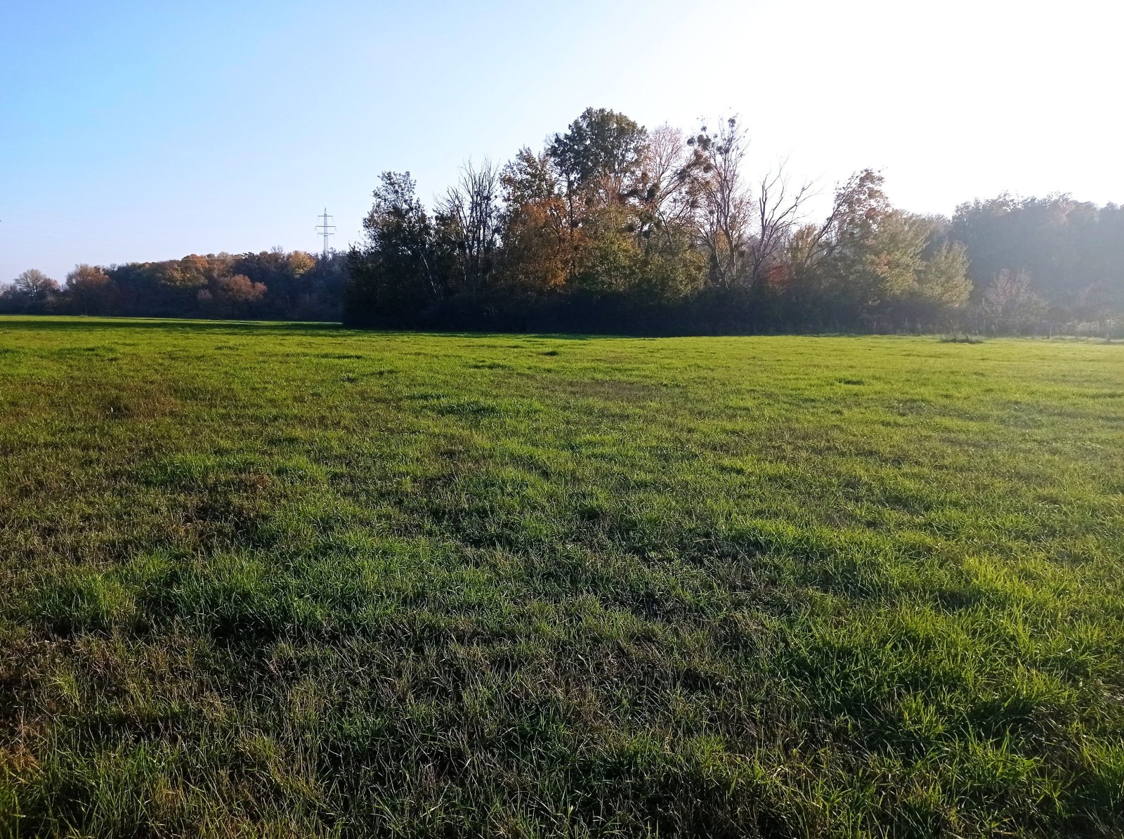 Pozemek o výměře 5838 m2 v obci Bulhary - Obrázek 2