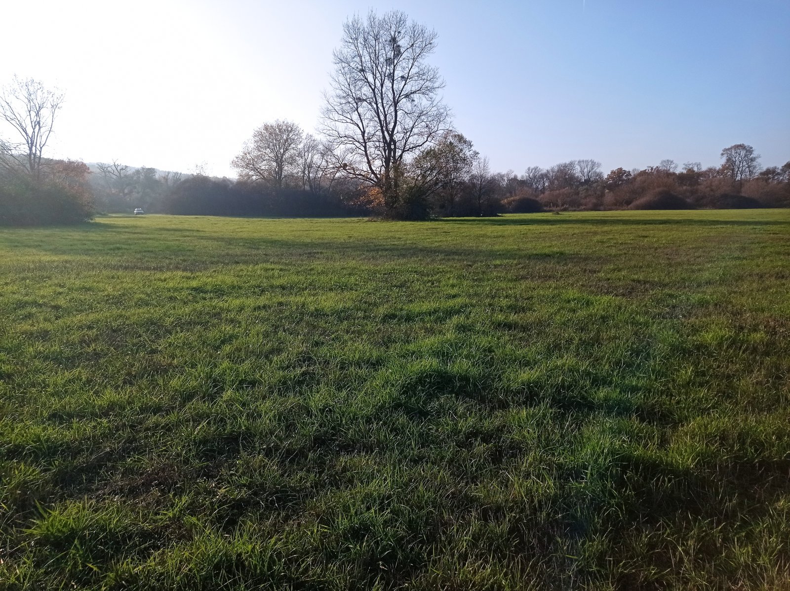 Pozemek o výměře 5838 m2 v obci Bulhary - Obrázek 5