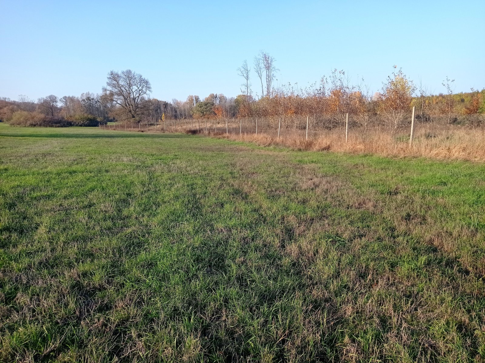 Pozemek o výměře 5838 m2 v obci Bulhary - Obrázek 6