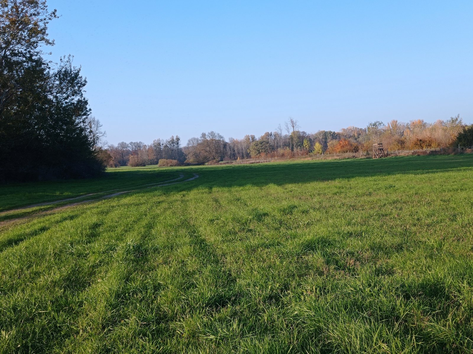 Pozemek o výměře 5838 m2 v obci Bulhary - Obrázek 8