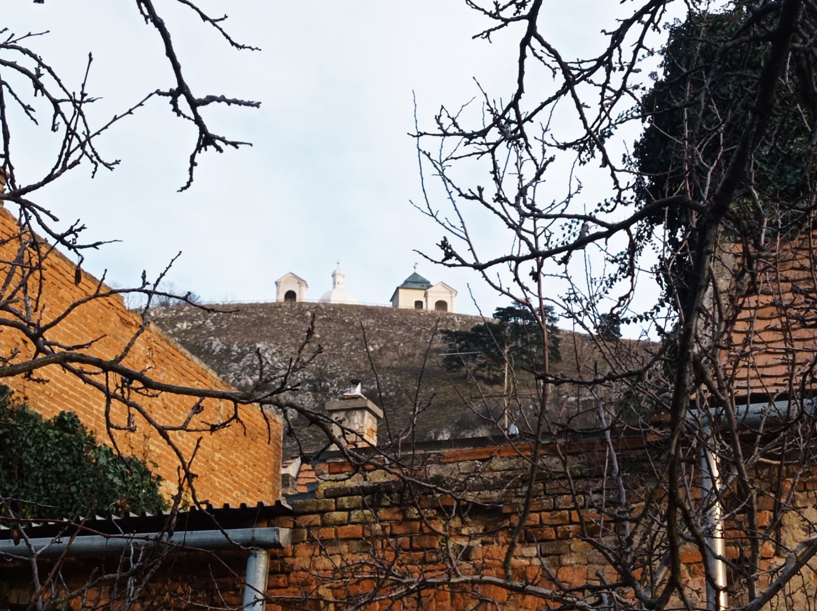 Rodinný dům se zahrádkou a krásnými výhledy v centru Mikulova - Obrázek 30