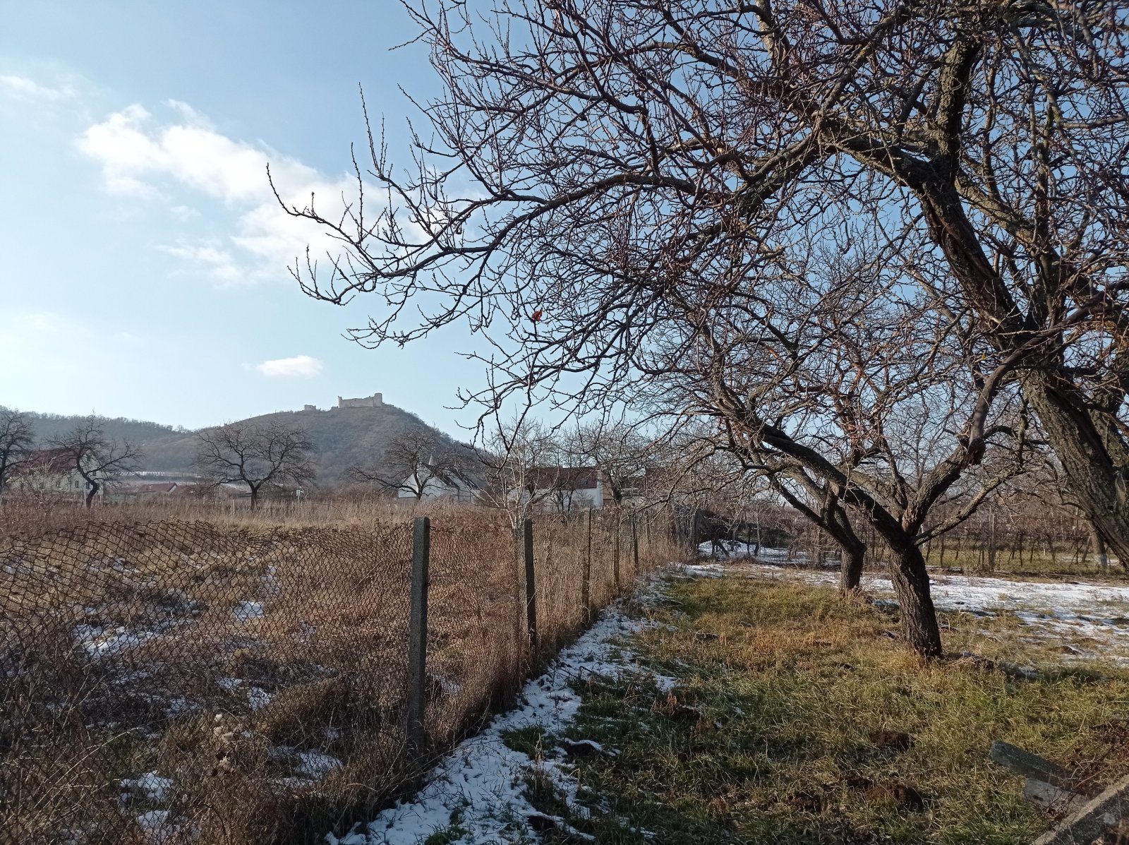 Rodinný dům s rozlehlým pozemkem v obci Pavlov - Obrázek 24