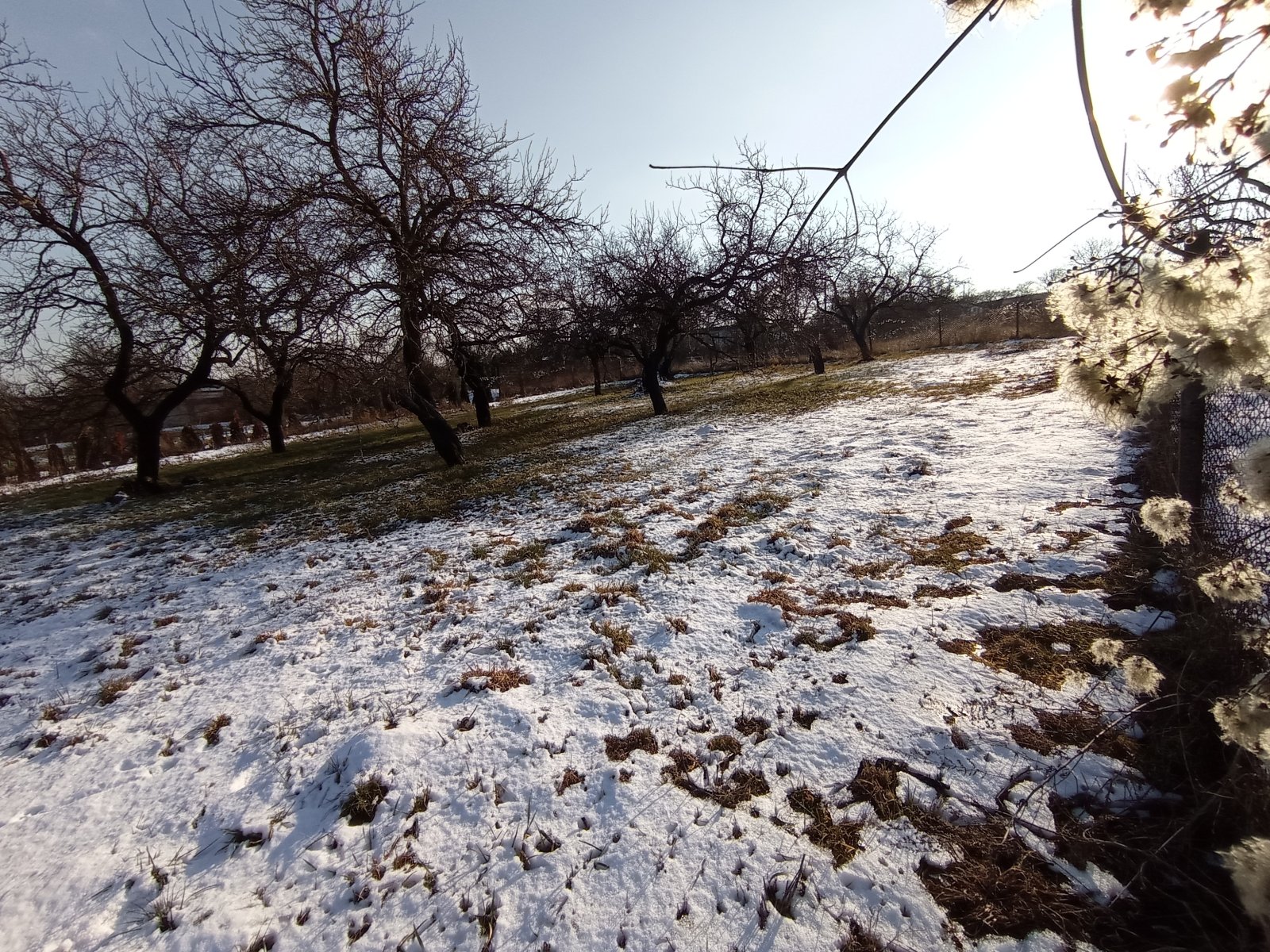 Rodinný dům s rozlehlým pozemkem v obci Pavlov - Obrázek 25
