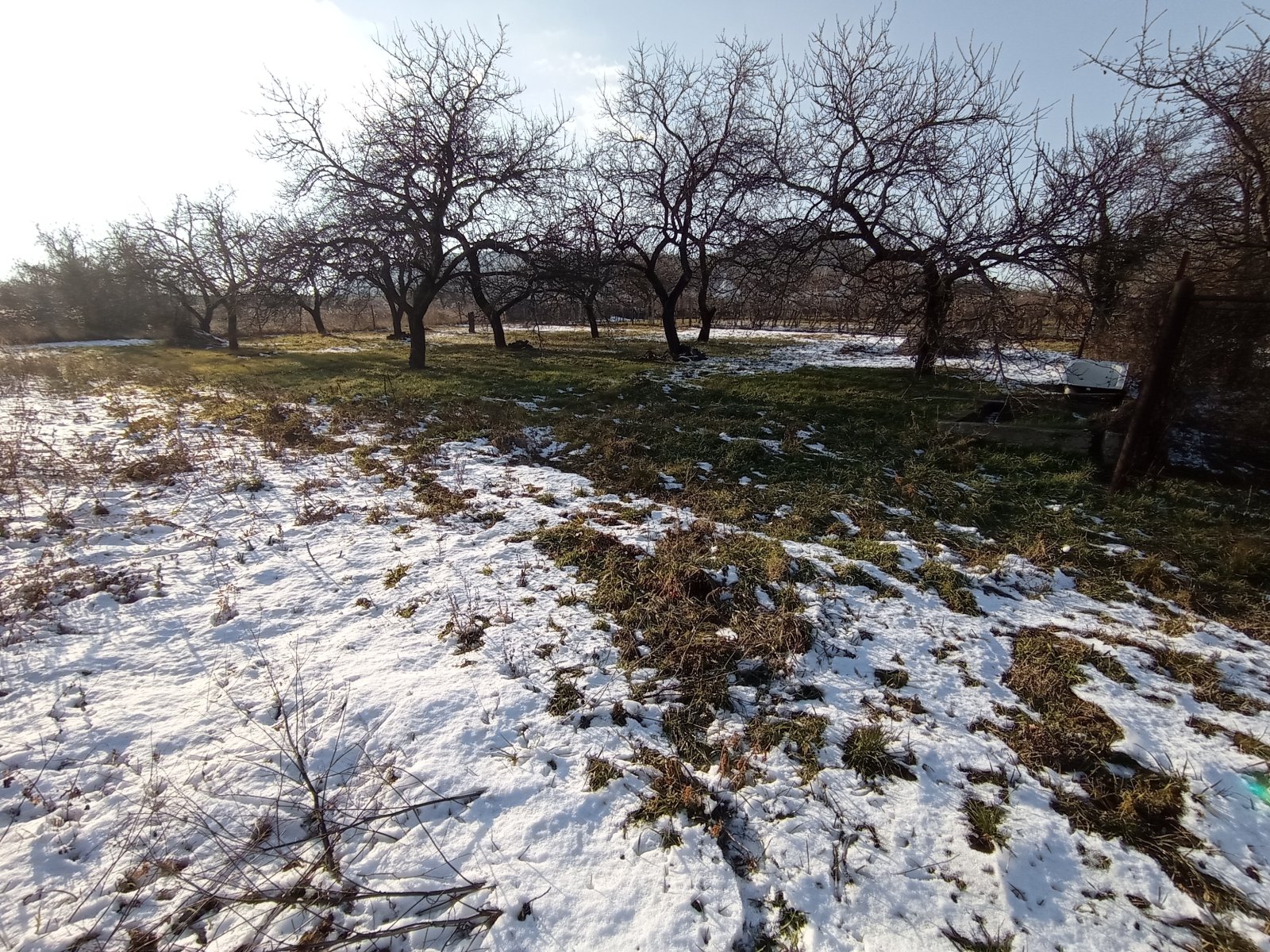 Rodinný dům s rozlehlým pozemkem v obci Pavlov - Obrázek 23