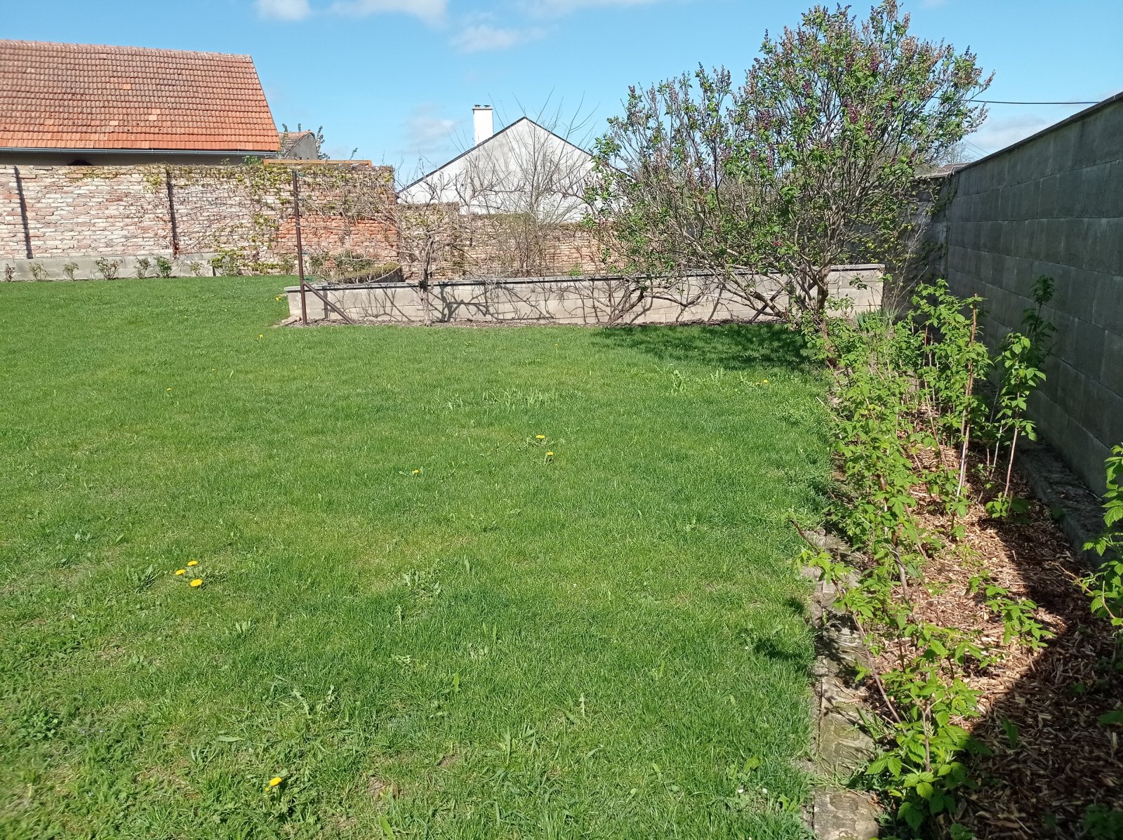 Stavební pozemek v centru městyse Drnholec - Obrázek 11