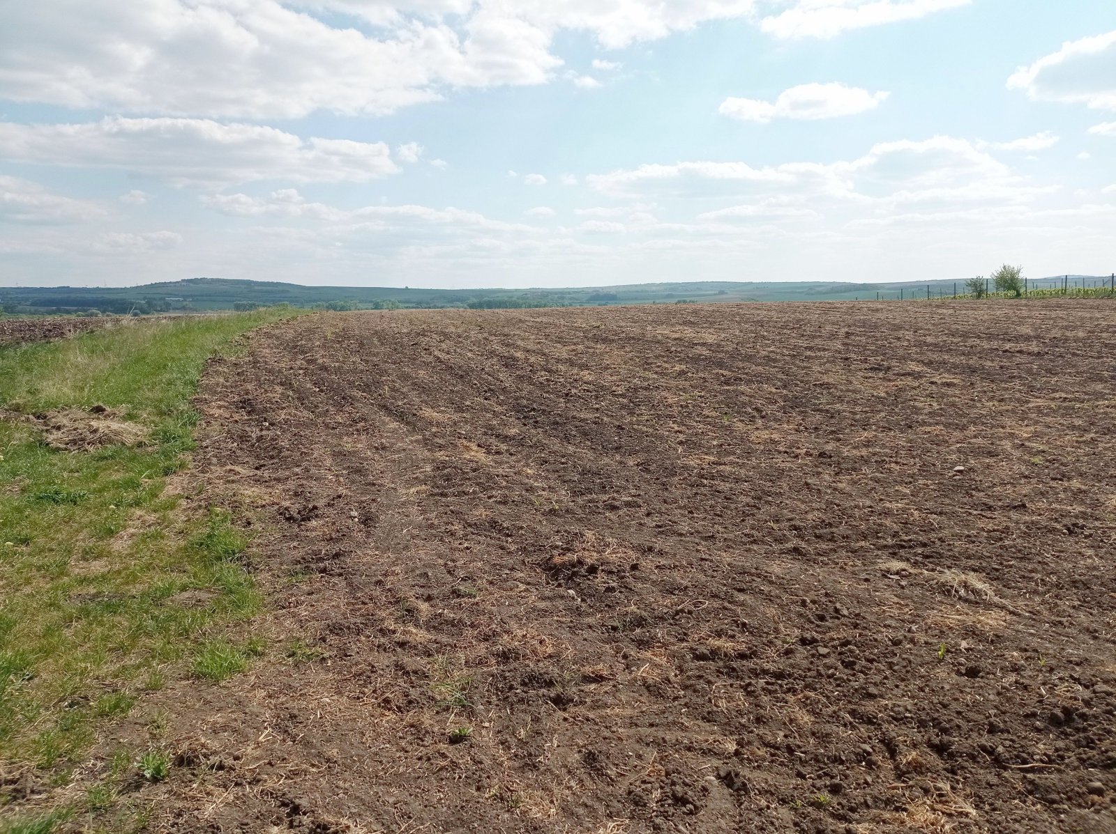 Slunná vinice s výheldem na Nesyt v obci Sedlec - Obrázek 6