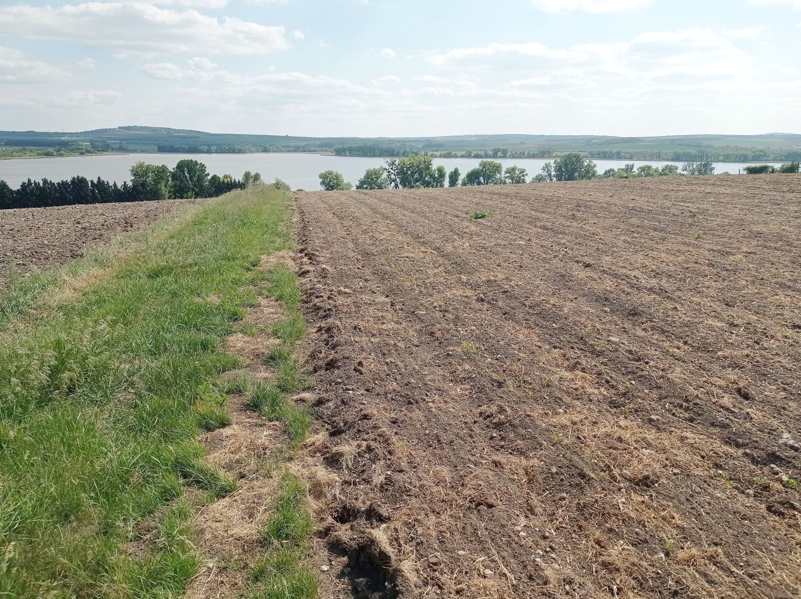 Slunná vinice s výheldem na Nesyt v obci Sedlec - Obrázek 7