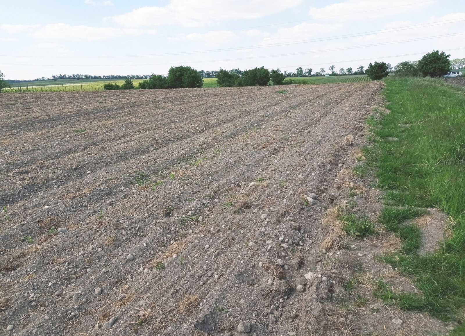 Slunná vinice s výheldem na Nesyt v obci Sedlec - Obrázek 9