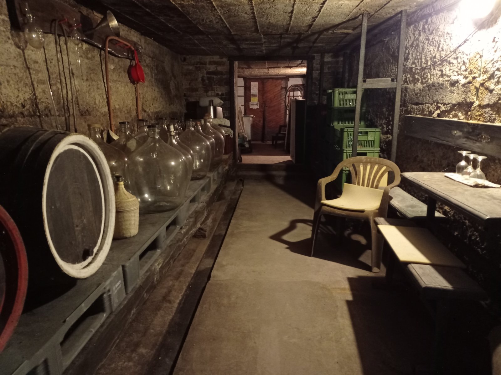 Řadový rodinný dům s garáží, vinným sklepem a rozlehlou zahradou v obci Dobré Pole. - Obrázek 26