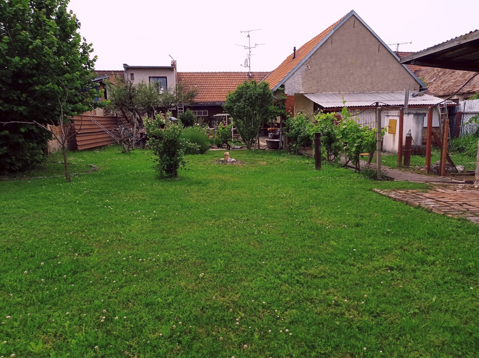 Řadový rodinný dům s garáží, vinným sklepem a rozlehlou zahradou v obci Dobré Pole. - Obrázek 21