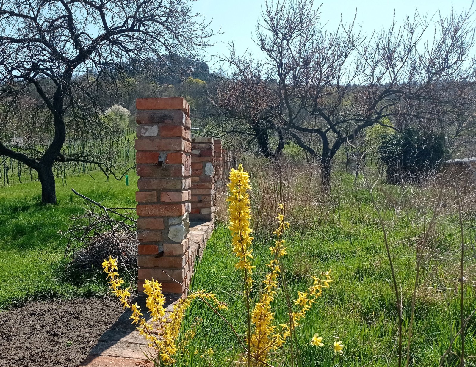 Stavební pozemek na úpatí Svatého kopečku v Mikulově. - Obrázek 7