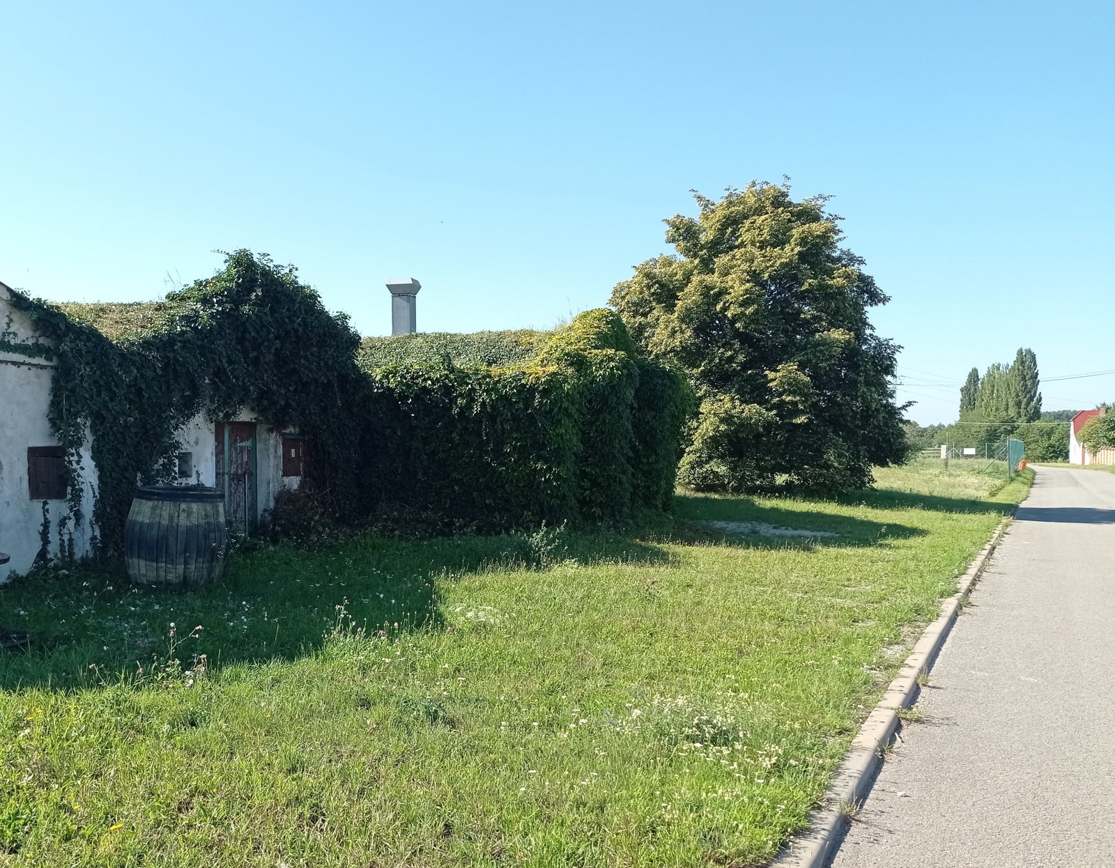 Vinný sklep s pozemkem ve vinařské uličce v Novosedlech - Obrázek 8