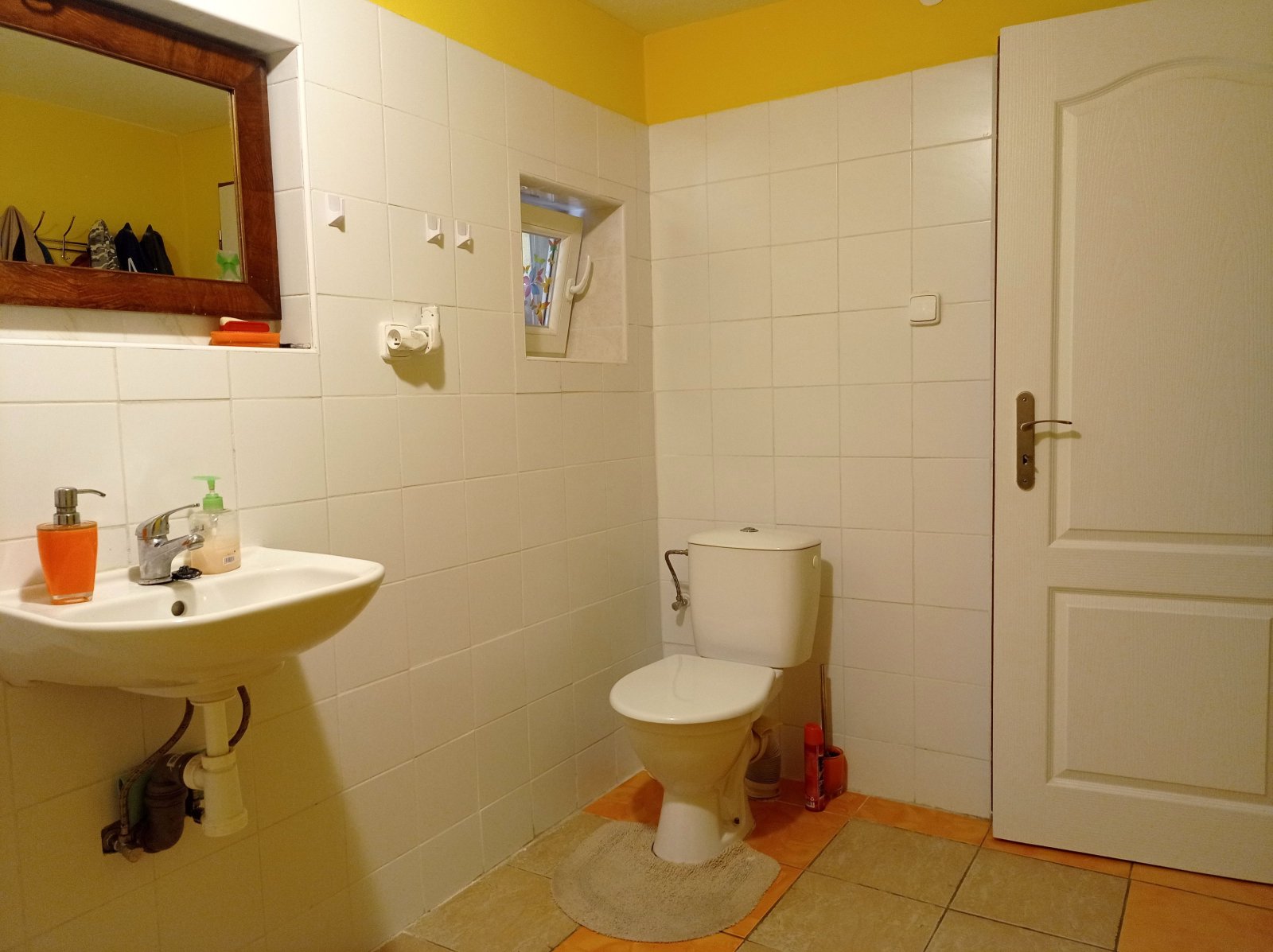 Přízemní rodinný dům se zahrádkou v obci Brod nad Dyjí - Obrázek 15