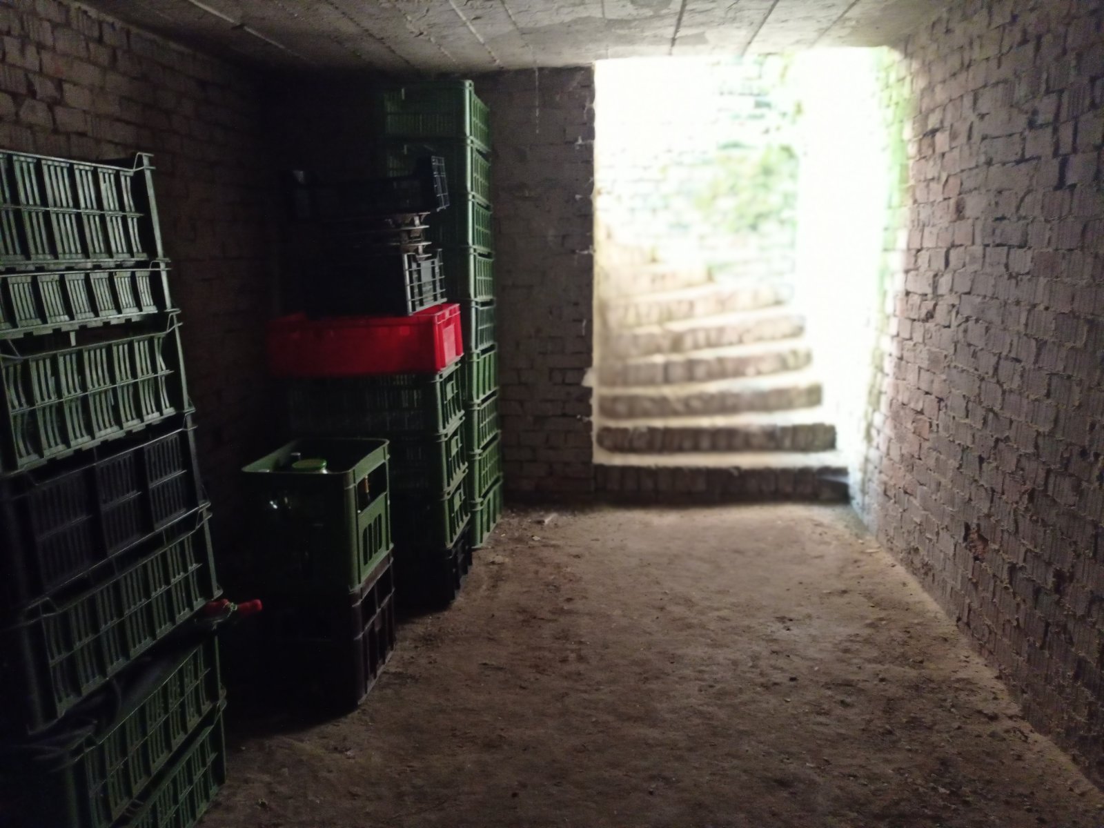 Přízemní rodinný dům se zahrádkou v obci Brod nad Dyjí - Obrázek 22