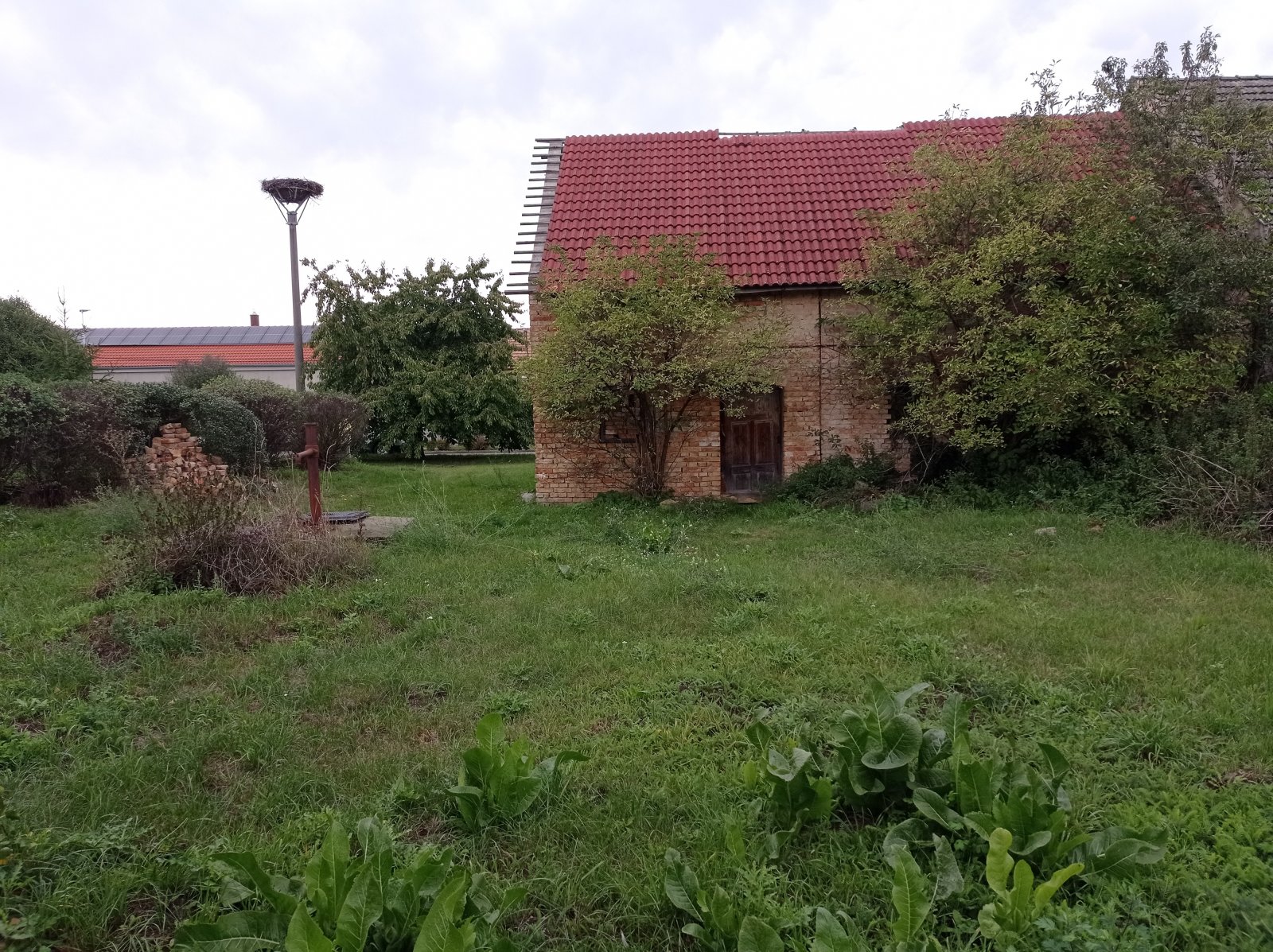 Prodej zemědělské stavby s možností přestavby na rodinný dům v Jevišovce - Obrázek 5