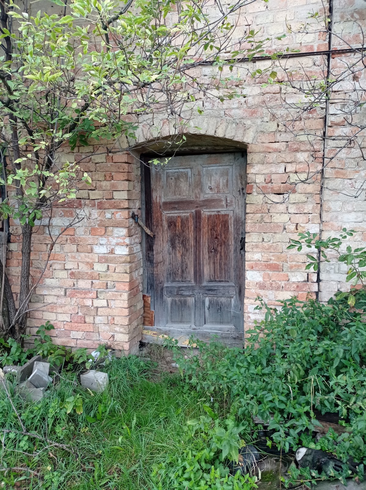 Prodej zemědělské stavby s možností přestavby na rodinný dům v Jevišovce - Obrázek 6